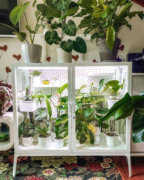 20 Diy Indoor Greenhouse Ideas