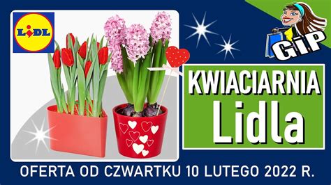 Lidl Oferta Od Czwartku Kwiaciarnia Lidla Youtube