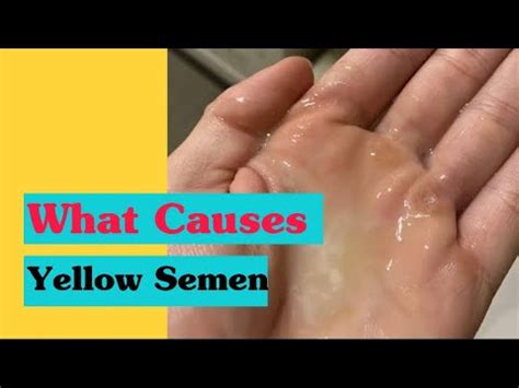 Yellow Semen Causes Symptom Checker Youtube