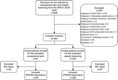 Patient Reported Outcomes And Satisfaction 1 To 3 Years After Revisions Of Total Knee