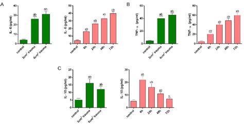 Serum Inflammatory Cytokine Levels In Each Group After Modeling A B