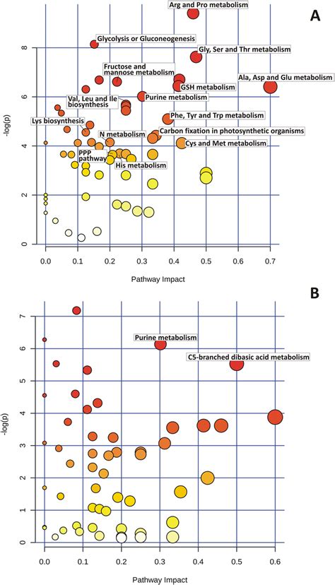 Metabolomic Pathway Analysis Metpa As Generated By Metaboanalyst