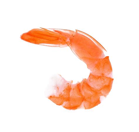 Shrimp PNG Images Transparent Background | PNG Play