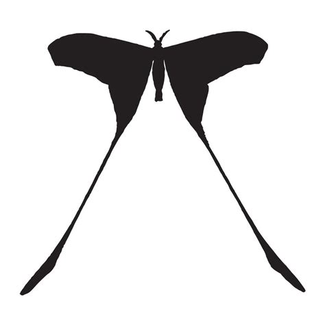 Moth Silhouette Illustration 47809260 Vector Art At Vecteezy