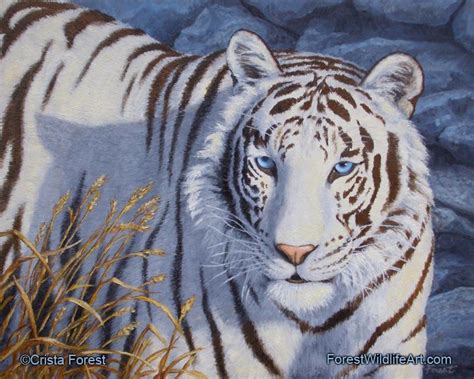 White Tiger Painting Original Oil Paintings Wildlife And Animal Art