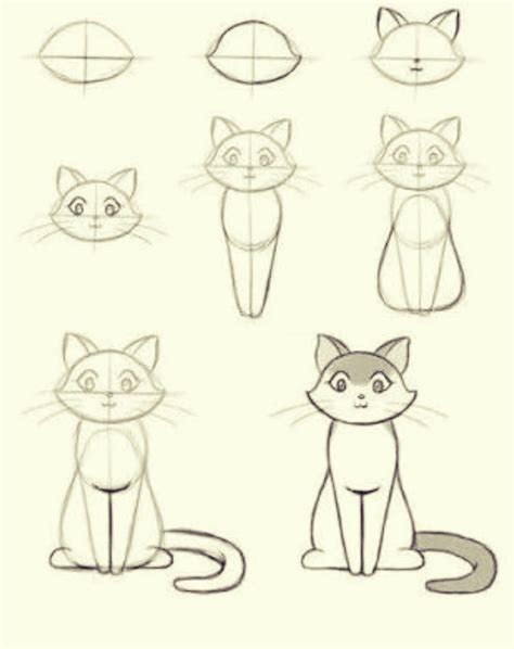 Dibujos De Gatos A Lapiz Faciles