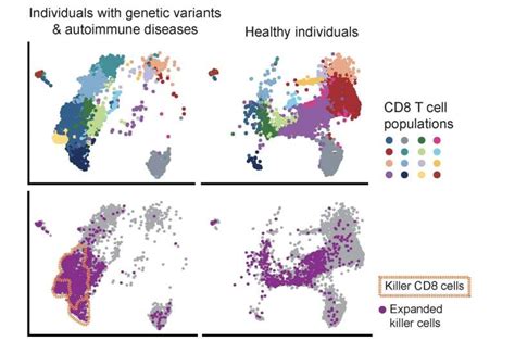 Rogue Immune Cells Linked To Leukemia Found To Be A Key Driver Of