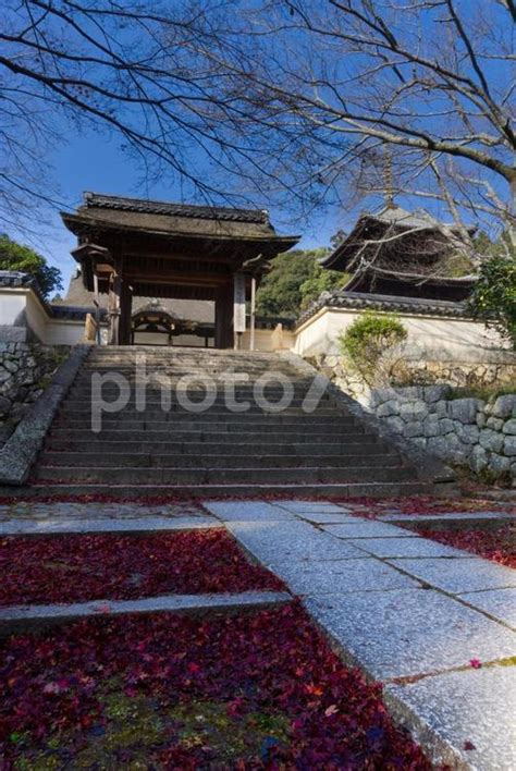 三井寺園城寺 唐院の四脚門 No 25566025｜写真素材なら「写真ac」無料（フリー）ダウンロードok