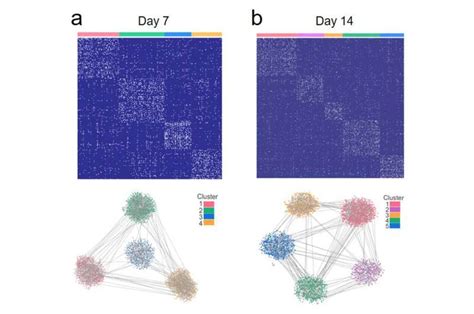 Intracellular Biopsy Technique For Fast MicroRNAs Profiling In Living Cells