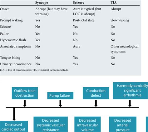 Differentiating syncope from seizure and TIA | Download Table