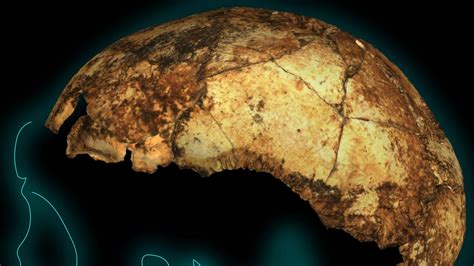 Scientist find oldest fossil of earliest human species Homo erectus | KidsNews