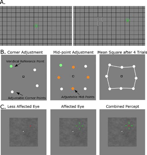 Stimuli Examples A Example Stimuli For The Computerized Amsler Grid