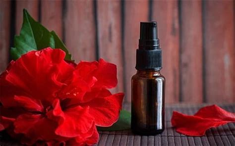 Hibiscus For Hair What Is It What Are The Benefits Blog Nadula