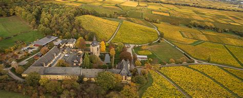 Weingut Schloss Vollrads Wein Direkt Ab Hof Wirwinzer At