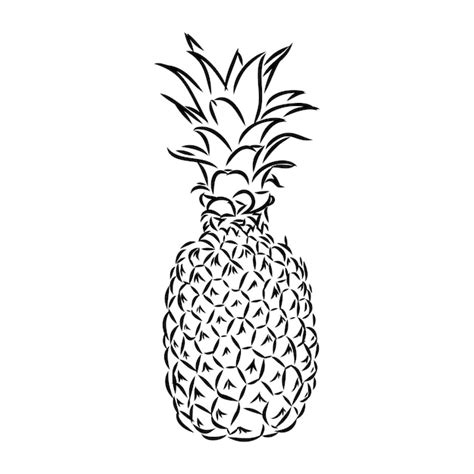 Black And White Pineapple Drawing