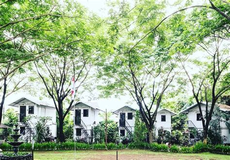 Bosan Di Hotel 5 Tempat Glamping Di Trawas Dan Pacet Ini Jadi