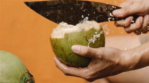 नारळ पाणी पिण्याचे हे आहेत फायदे अनेक आजार होतात दूर । Coconut