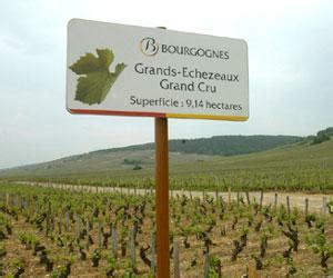 Grands-Echezeaux, Burgundy - France Wine Region | Wine-Searcher