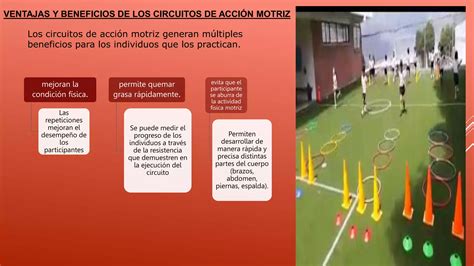 Circuitos De Acci N Motriz Do Pptx