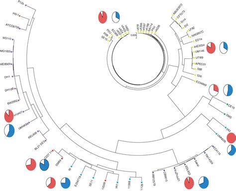 Table 1 From The Evolutionary Path To Extraintestinal Pathogenic Drug