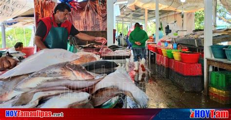 Hoy Tamaulipas Inquieta A Comerciantes De La Puntilla De Tampico Que