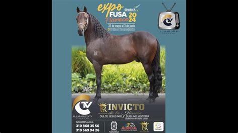 Feria equina grado A Fusagasugá Cundinamarca 2024 DIA 2 YouTube