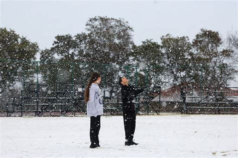 Johannesburg Residents Stunned By Once In A Decade Snowfall Theprint