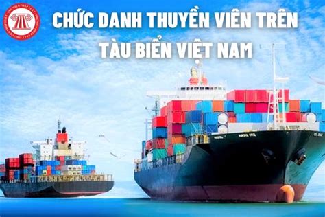 Tr N T U Bi N Vi T Nam C C C Ch C Danh Thuy N Vi N N O Thuy N Vi N