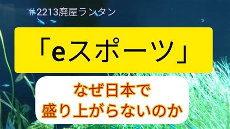 ＃2213 「eスポーツ」なぜ日本で盛り上がらないのか。専門家が指摘した海外との大きな違い。eスポーツのプロ選手、あなたは何人知ってる？「ぷよぷよ」はeスポーツとして存在感。 2024 1