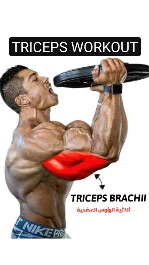 TRICEPS WORKOUT | Triceps workout, Tricep workout gym, Gym workout planner