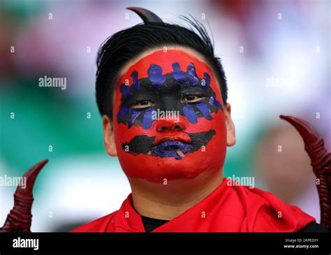 A South Korea Fan In The Stands During The Fifa World Cup Group H Match At The Education City