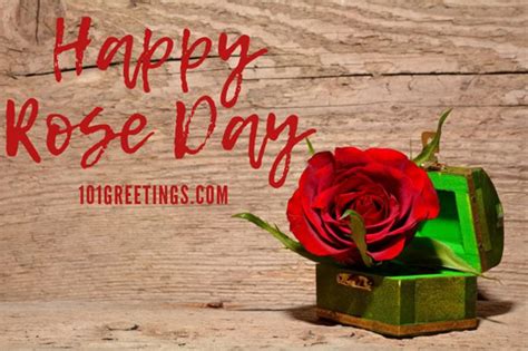 [35+ BEST] Happy Rose Day Quotes for Husband 2021 - 101 Greetings ...