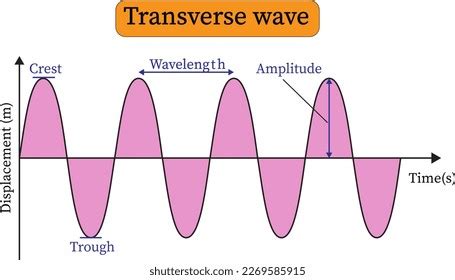 Transverse Wave Presentation Crest Trough Wavelength Stock Vector ...