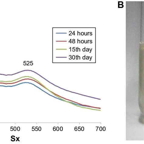 Uv Visible Spectrum Absorption Pattern Of Aunps Synthesized From Sx