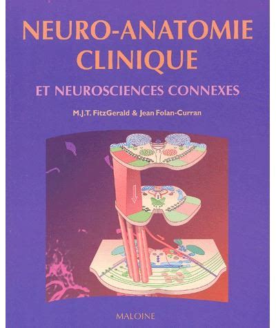 Neuro Anatomie Clinique Neurosciences Connexes Broch Jean Folan