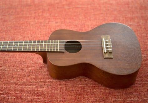 Best Concert Ukuleles 2023 Buyers Guide Into Strings