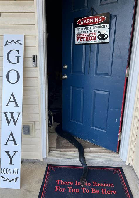 So far, I'm scaring everyone besides the snake lovers lol : r/Sneks