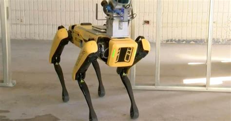 Los Perros Robot Polic A Son Reales Y Van Por Las Calles Escaneando Gente