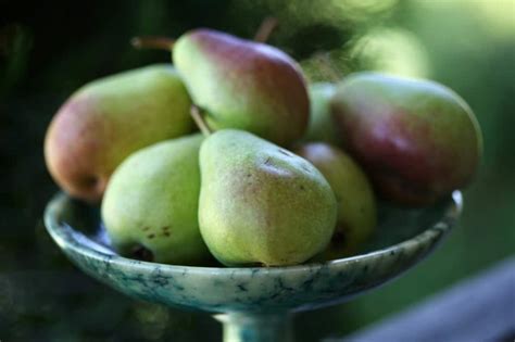 How To Propagate Pear Trees From Cuttings Farmhouse Blooms