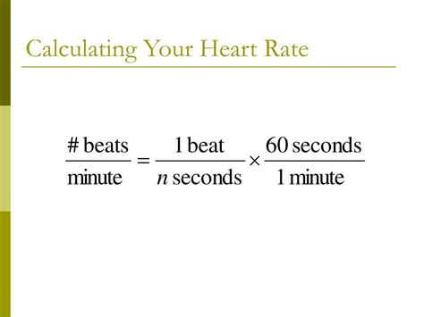 How To Calculate Your Heart Rate Worksheet