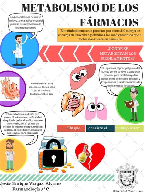 Metabolismo de los Fármacos Jesús Enrique Vargas Alvarez uDocz