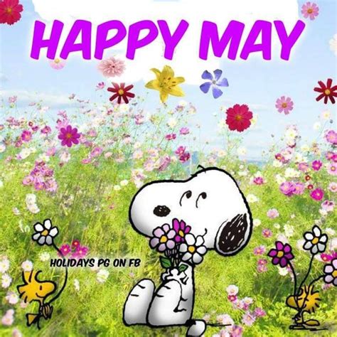 Pin By Linda Hendricks On Sweet Snoopy Snoopy Birthday Snoopy