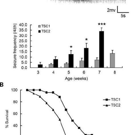 Tsc Gfap Cko Mice Have More Severe Epilepsy And Earlier Prema