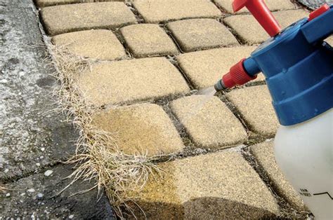 Astuces Pour Liminer Les Mauvaises Herbes De La Terrasse Et Du Jardin