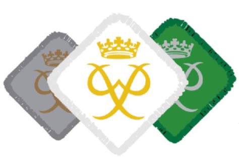 Duke Of Edinburghs Award South London Scouts