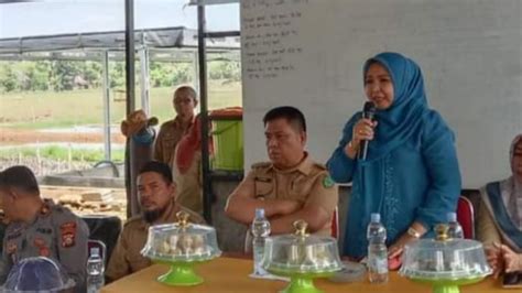 Wakil Ketua DPRD Maros Haeriah Rahman Tudang Sipulung Bareng Petani Di