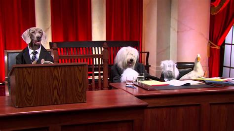 Every Dog Has His Day In Court Realdogsfakepaws Youtube