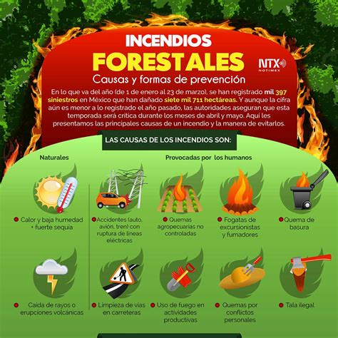 Incendios Forestales Panorama Agrario