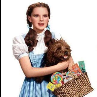 How To Dress Like Dress Like Dorothy Gale Guide For Cosplay & Halloween