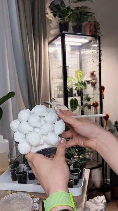 Скоро завершу это кашпо с лимонами и разыграю его среди своих ...